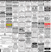 Daily Excelsior> Newspaper Display Ad Booking