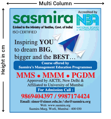 Display ad sample